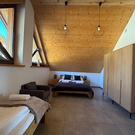Apartament No 1 Mountain Viev Sauna Priv Okolice Zakopane Czorsztyn クルシュコフツェ エクステリア 写真